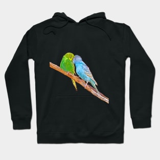 Cute budgies beaking Hoodie